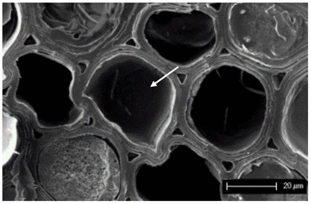 Furfuryl alcohol modified solution for modifying wood materials or bamboo materials