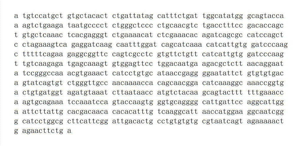 Method for screening snake venom nerve growth factor (vNGF) active polypeptides