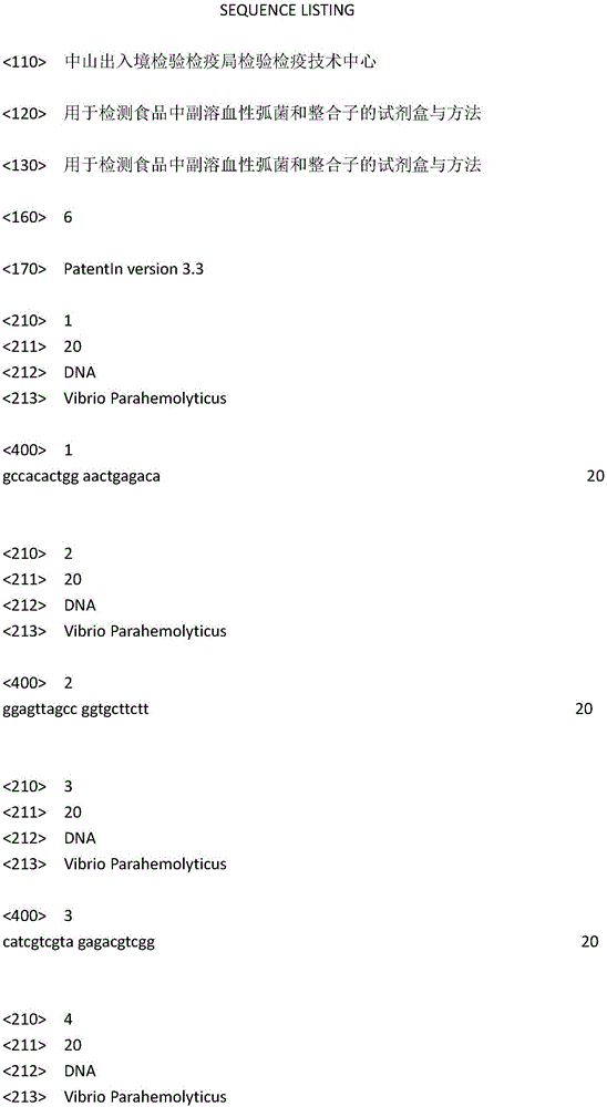 Kit and method for detecting vibrio parahaemolyticus and integron in food