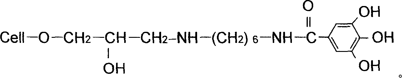 Nutgall acylation modified fibre an dits synthetic method