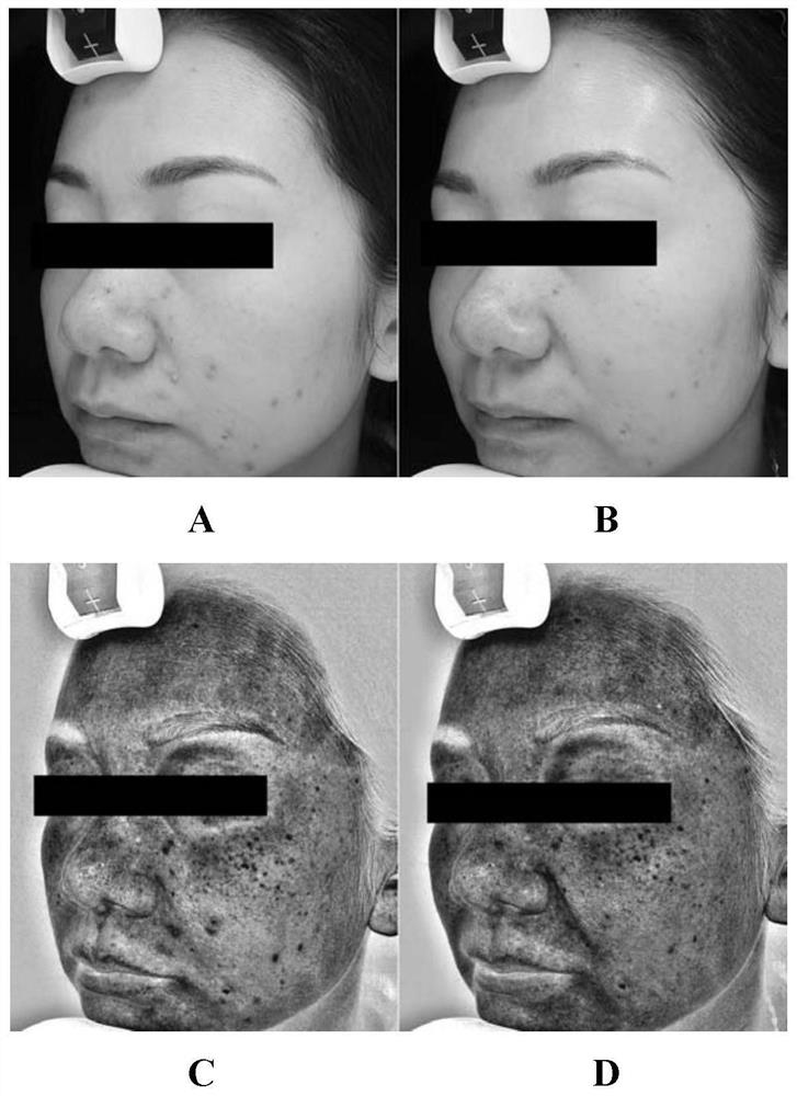 A sub-microemulsion repairing stock solution composition, its preparation method and cosmetic composition comprising the same