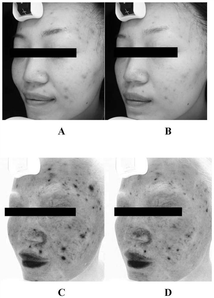 A sub-microemulsion repairing stock solution composition, its preparation method and cosmetic composition comprising the same