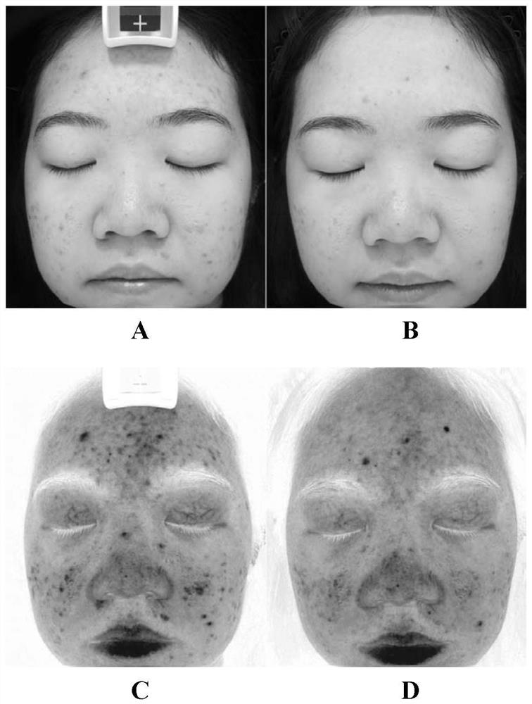 A sub-microemulsion repairing stock solution composition, its preparation method and cosmetic composition comprising the same