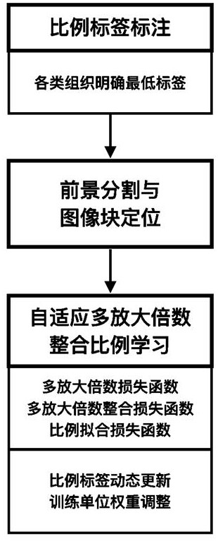 Tumor tissue pathology classification system and method based on adaptive proportional learning