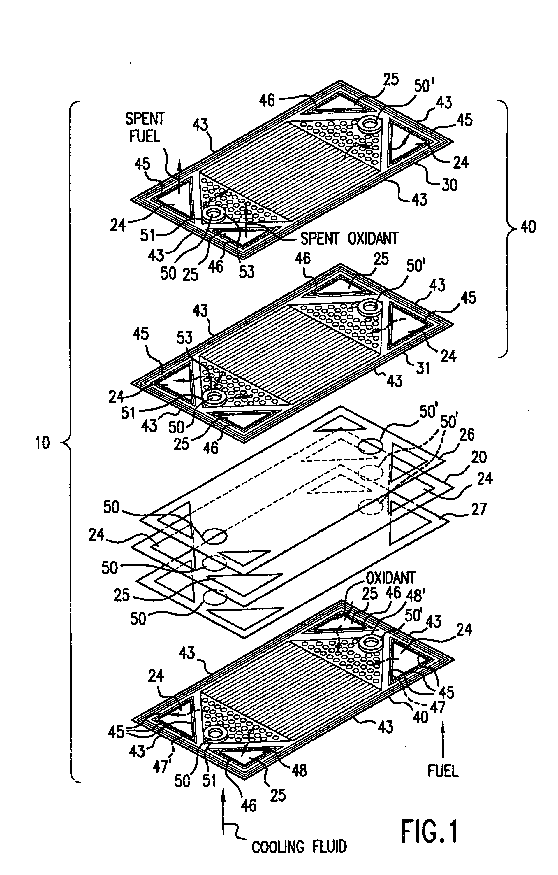 Fuel cell bipolar separator plate