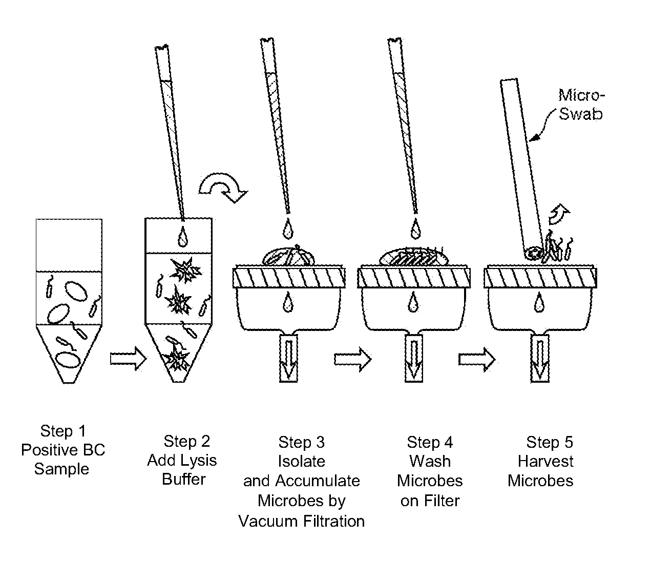 Methods and kits for isolating microorganisms from culture