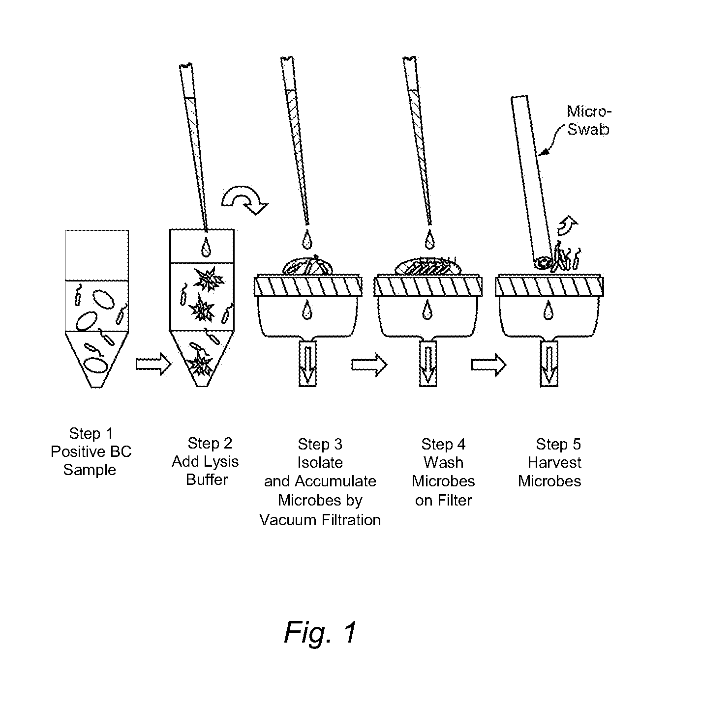 Methods and kits for isolating microorganisms from culture