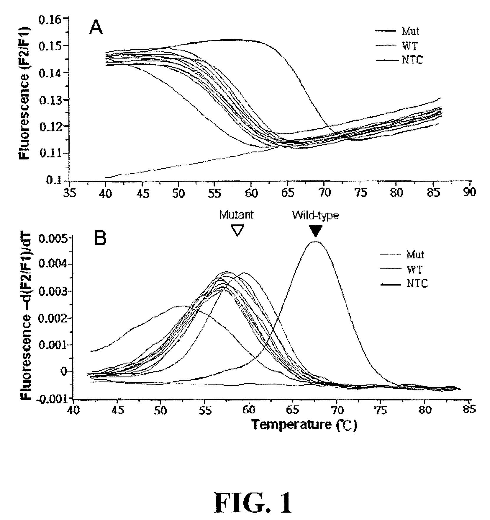 Methods and kits for the detection of nucleotide mutations using peptide nucleic acid as both PCR clamp and sensor probe