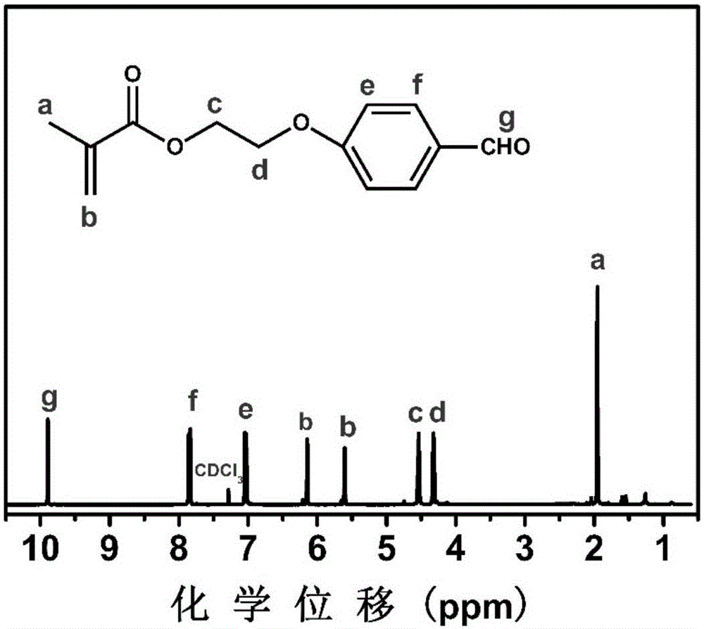 Amphipathic four-arm star-like polymer and shell reversible crosslinked micelle system based on same, and preparation method and application of amphipathic four-arm star-like polymer