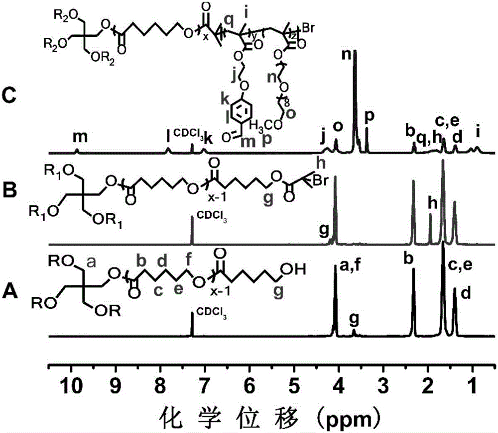 Amphipathic four-arm star-like polymer and shell reversible crosslinked micelle system based on same, and preparation method and application of amphipathic four-arm star-like polymer