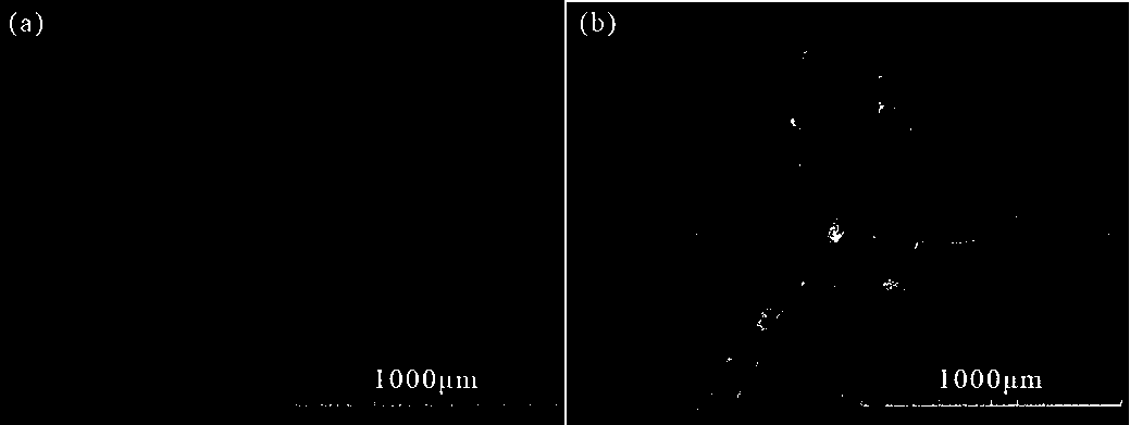 DA reaction-based fluorine-containing polyacrylate self-repairing coating and preparation method thereof