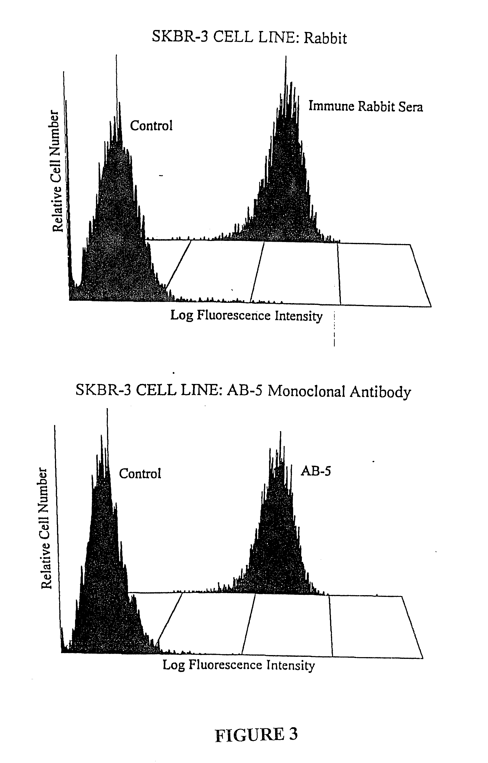 Polypeptides and Polynucleotides for Enhancing Immune Reactivity to HER-2 Protein