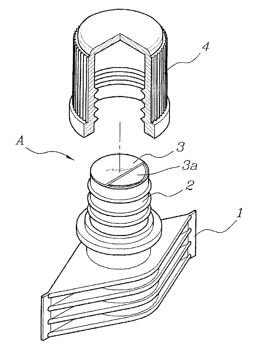 Spout for a pouch