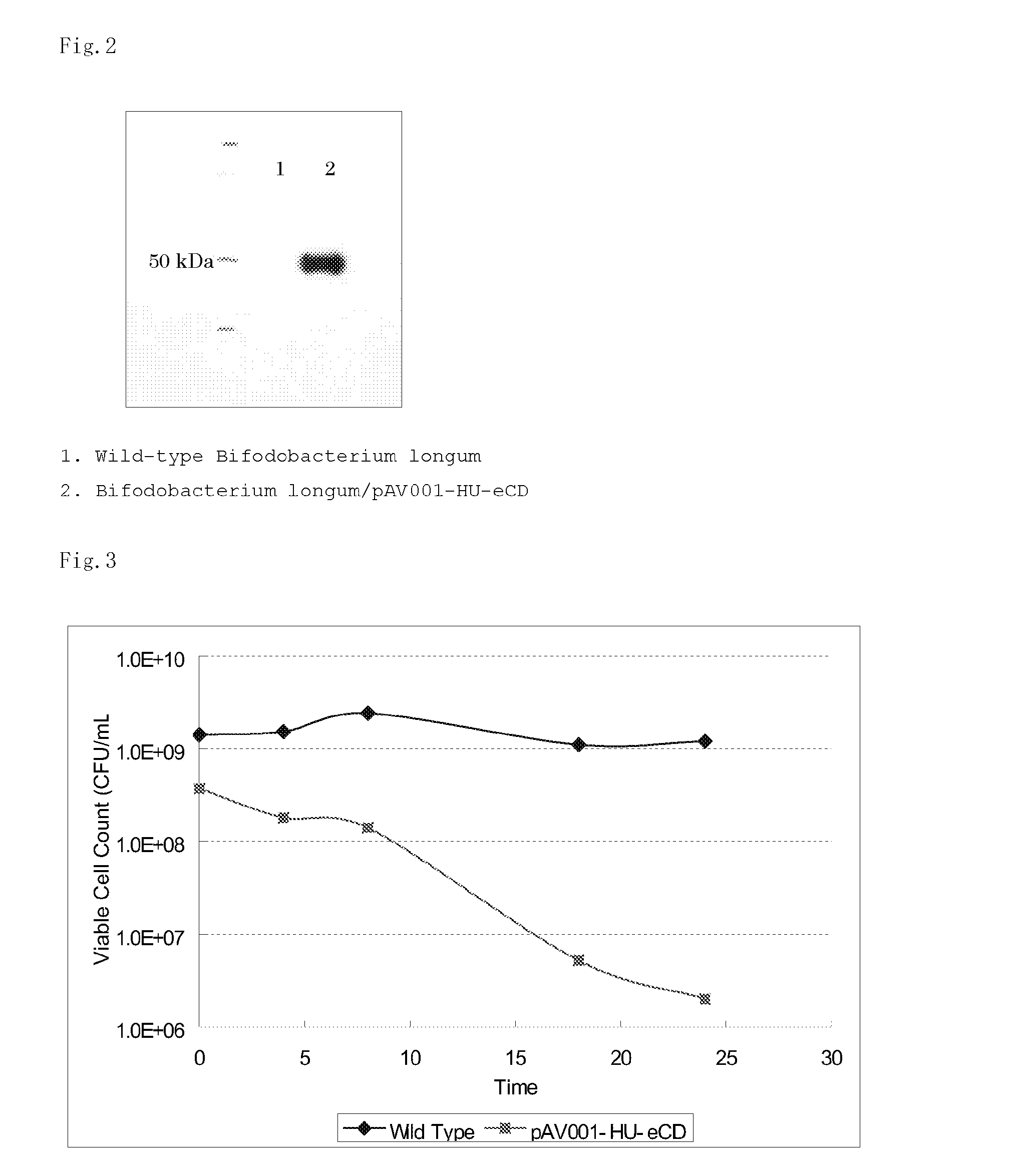 5-fluorouracil-resistant bacteria and method for production thereof