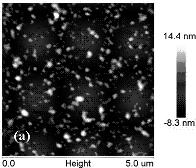 Protein antimicrobial catheter and manufacturing method thereof