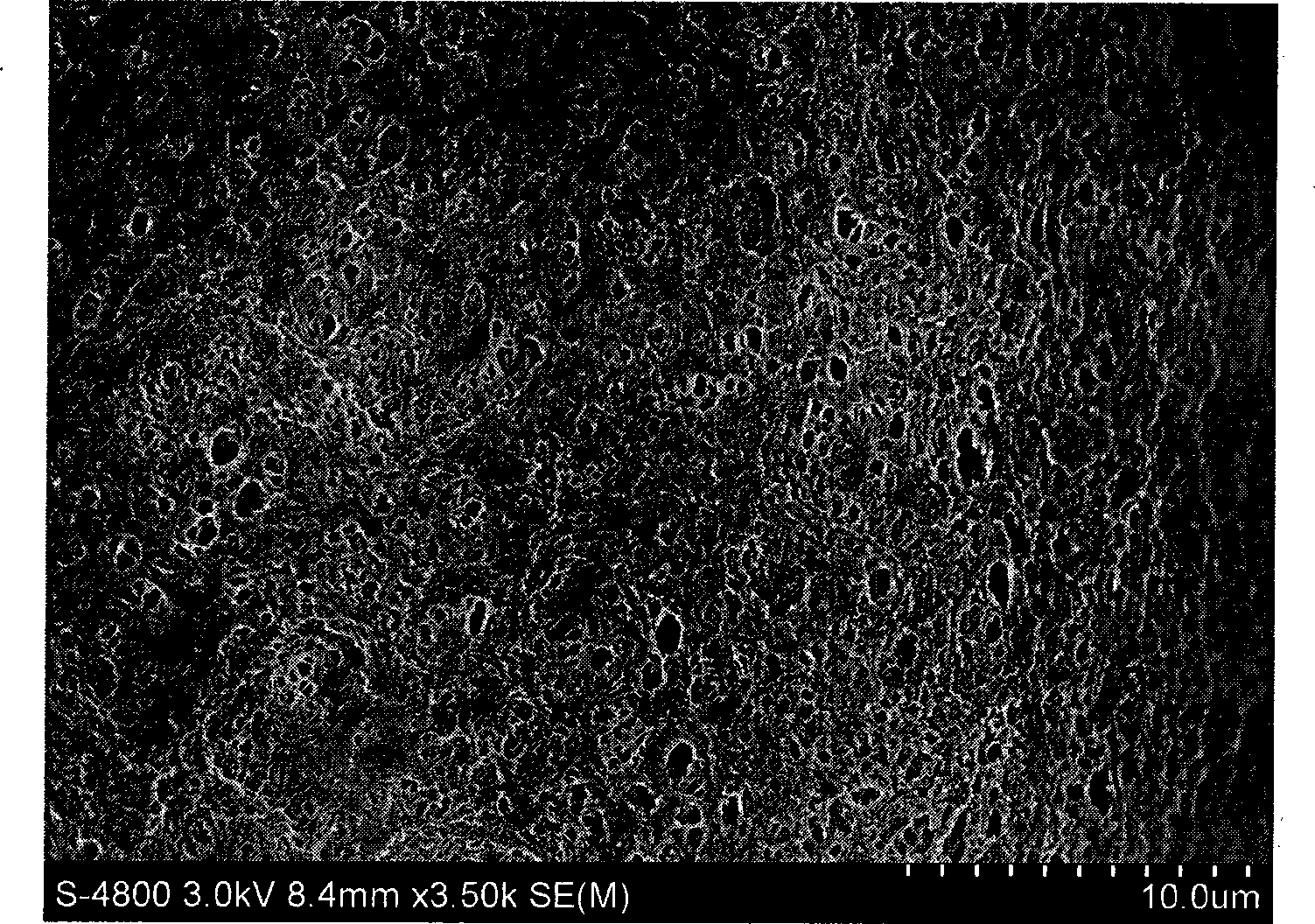 Substitute material for repairing articular cartilage and preparation method