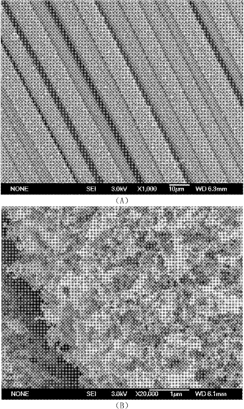 Method for in-situ growing carbon nanotubes on fiber surfaces