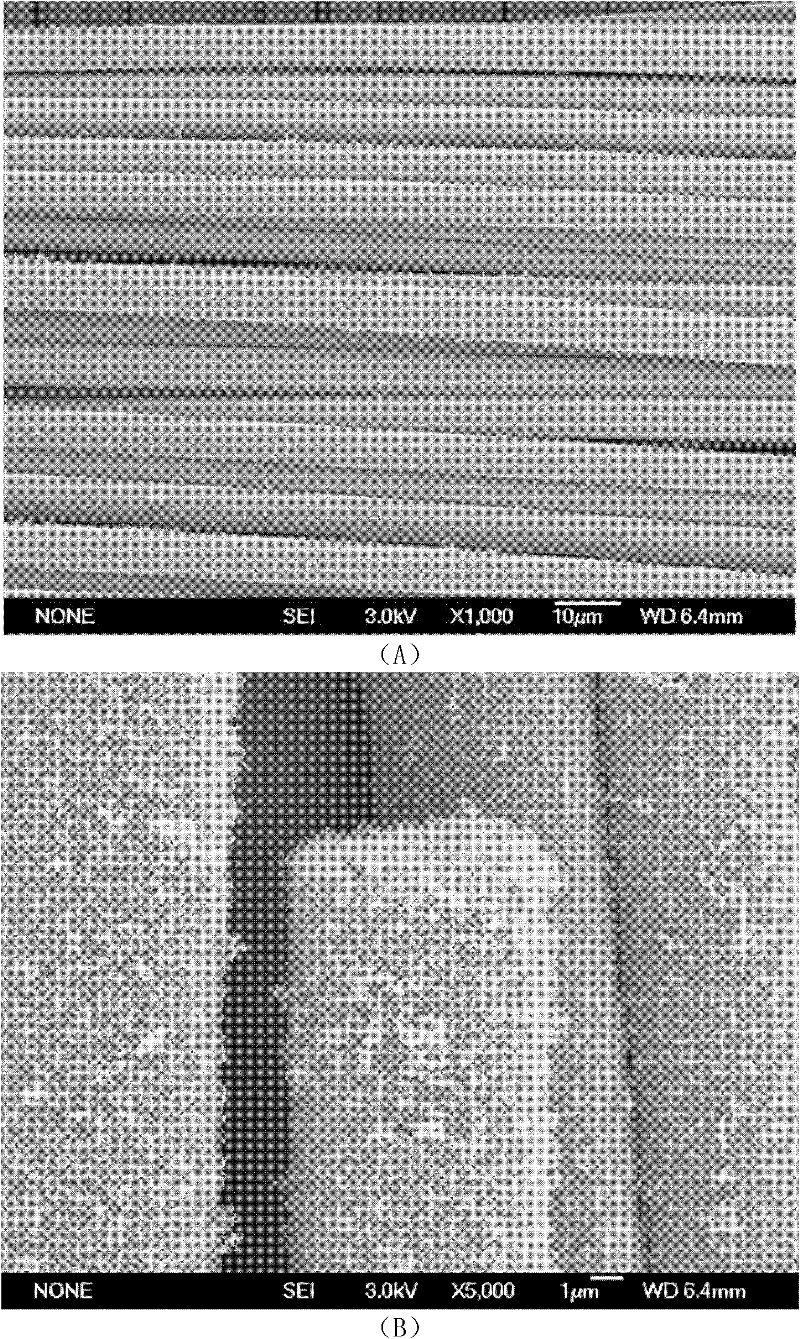 Method for in-situ growing carbon nanotubes on fiber surfaces