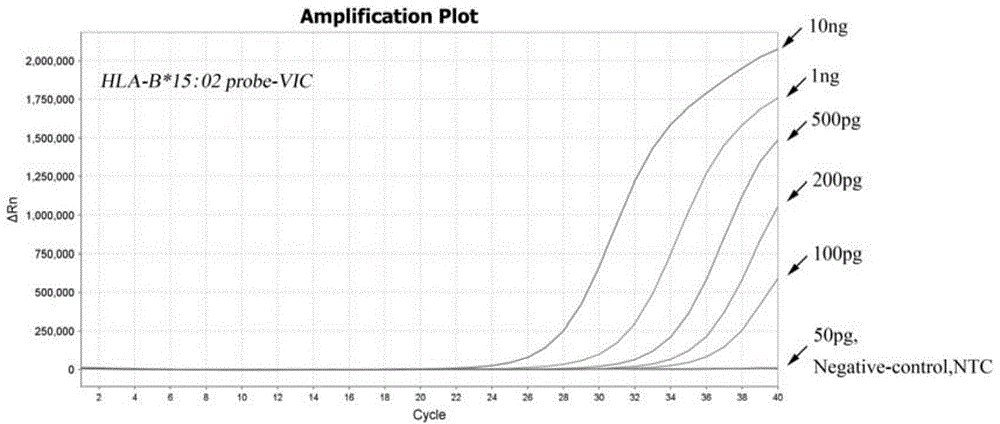 Multiplex real-time fluorescent PCR (polymerase chain reaction) method for detecting HLA-B*15:02 alleles