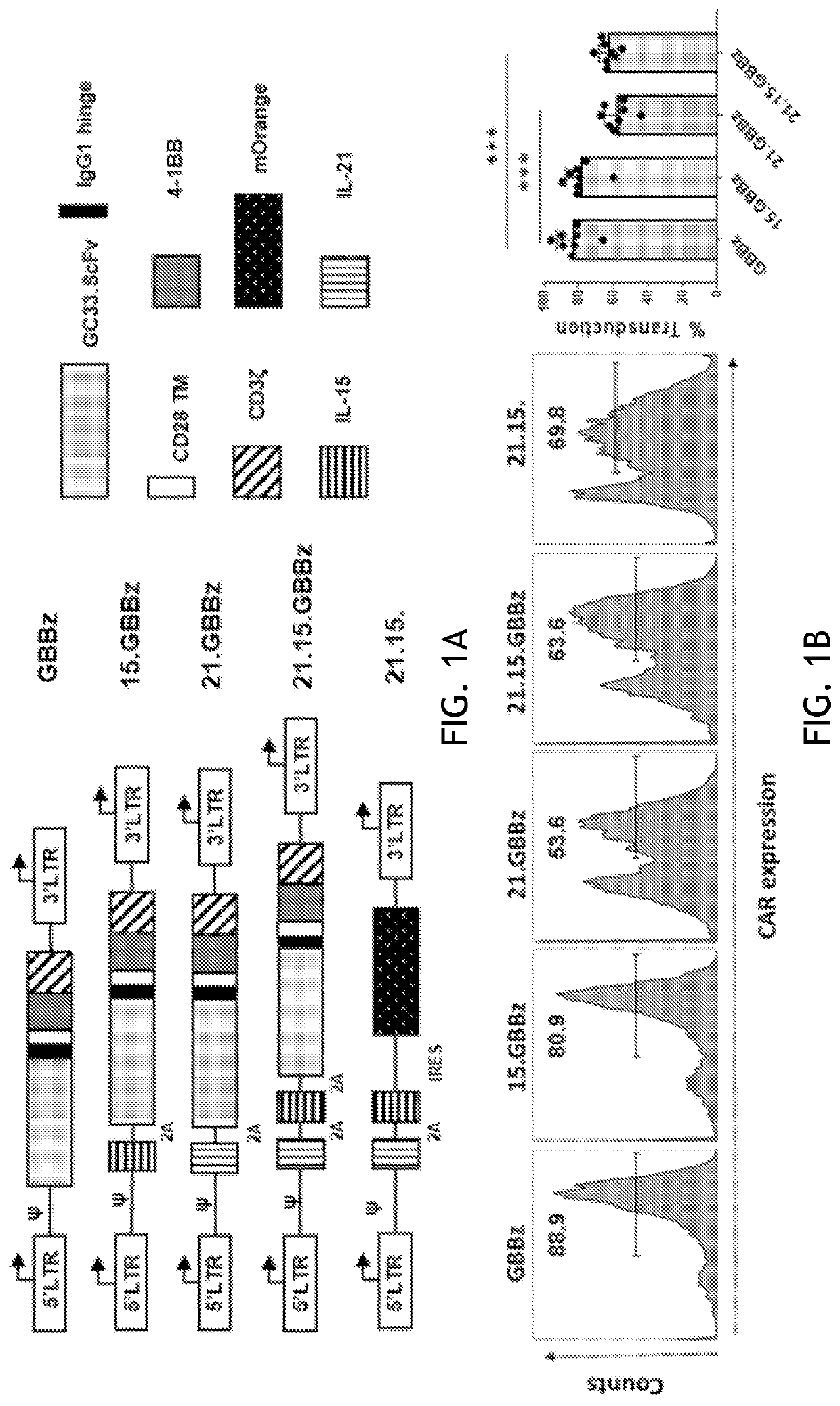 Car t cells with one or more interleukins