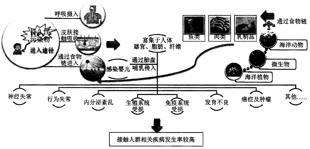 Determination method of marine ecological environment damage causal-relationships