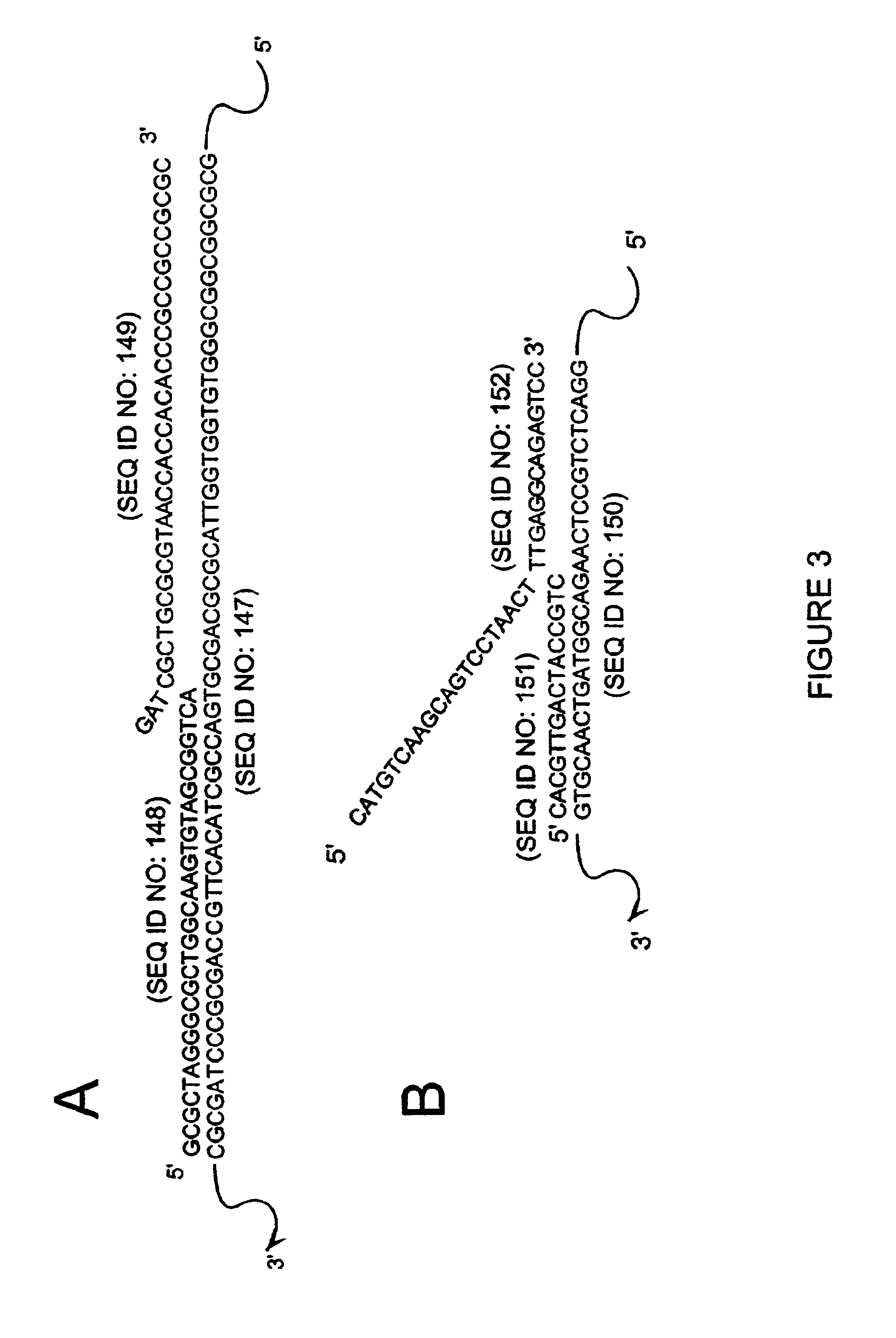 Detection of RNA Sequences