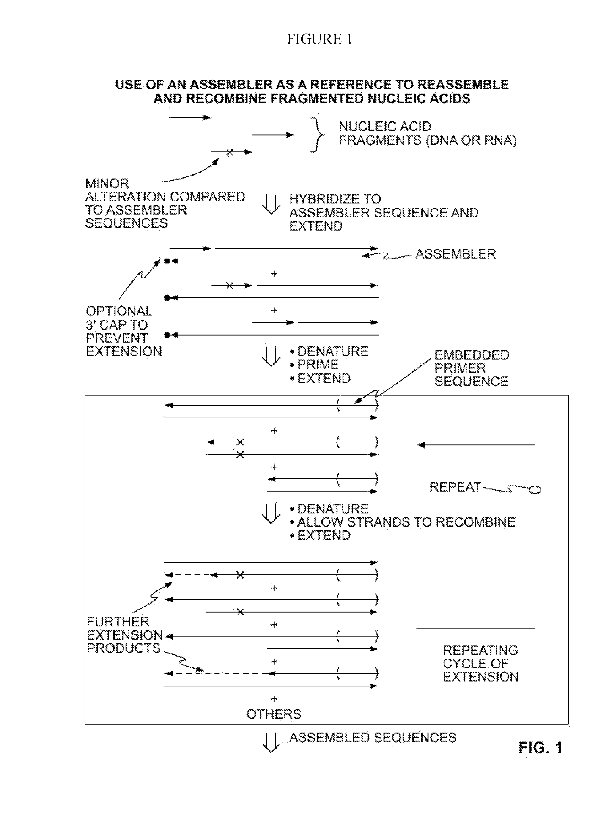 Methods for Amplifying Fragmented Target Nucleic Acids Utilizing an Assembler Sequence