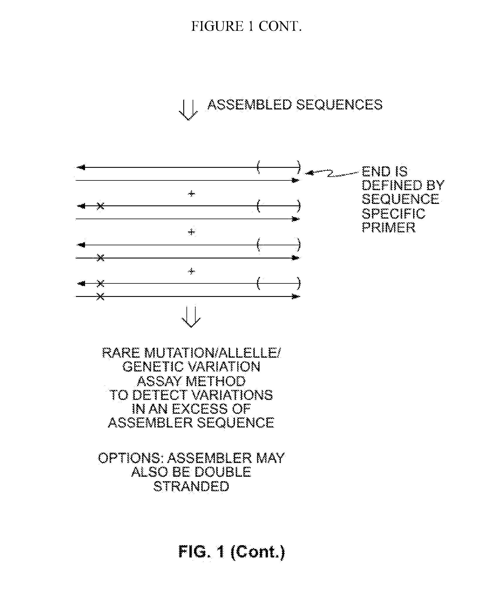 Methods for Amplifying Fragmented Target Nucleic Acids Utilizing an Assembler Sequence