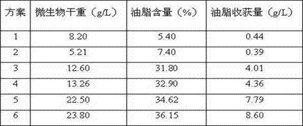 A kind of open method for quickly cultivating oil-containing microorganisms
