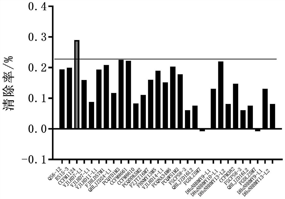 A Lactobacillus plantarum capable of scavenging acrylamide and its application