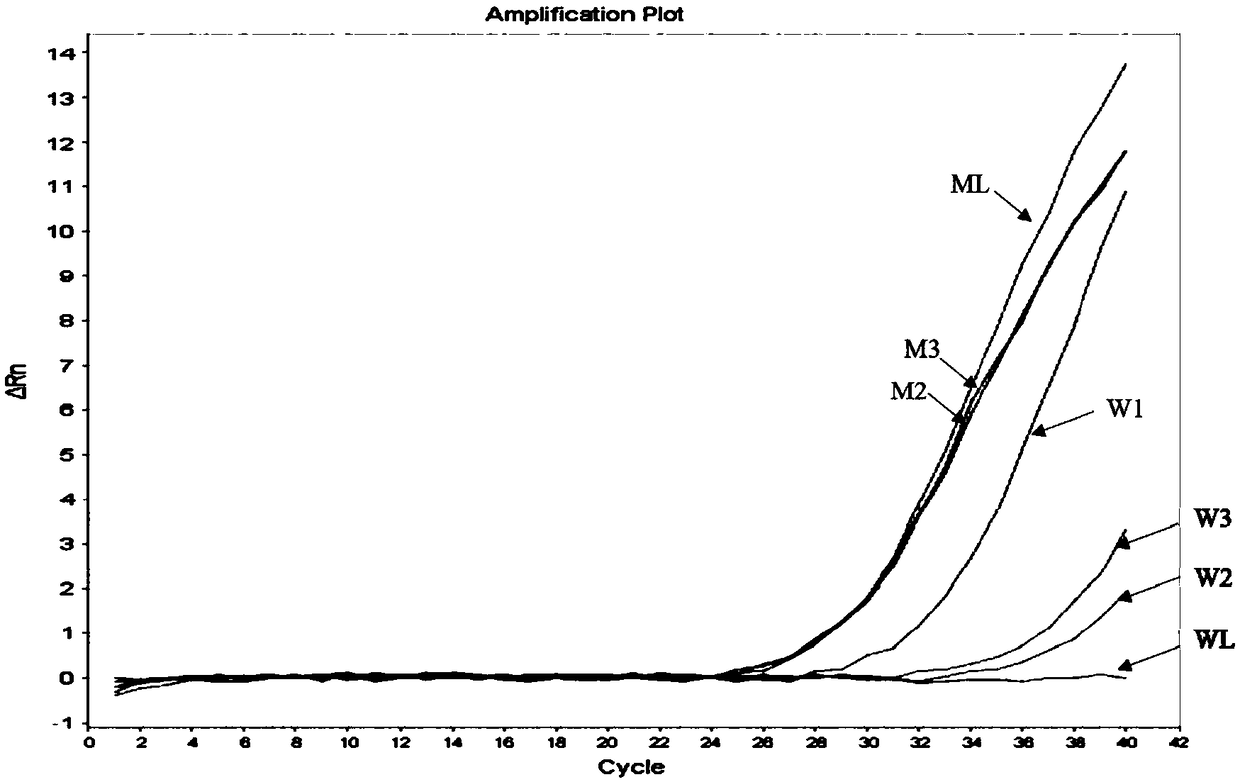 Rare mutation detection method, kit and application thereof