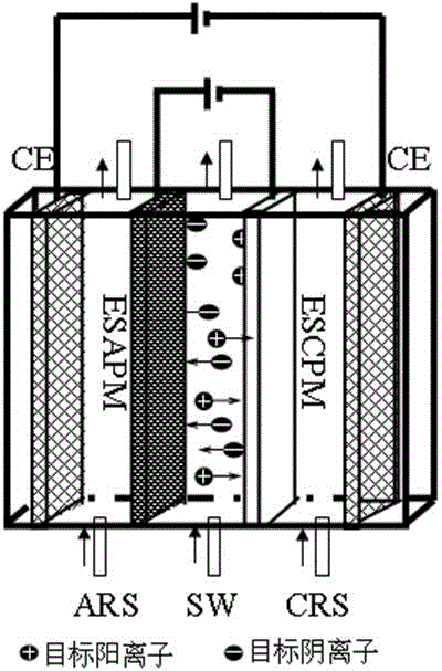 Separation process of electronic control ion selective permeable membrane