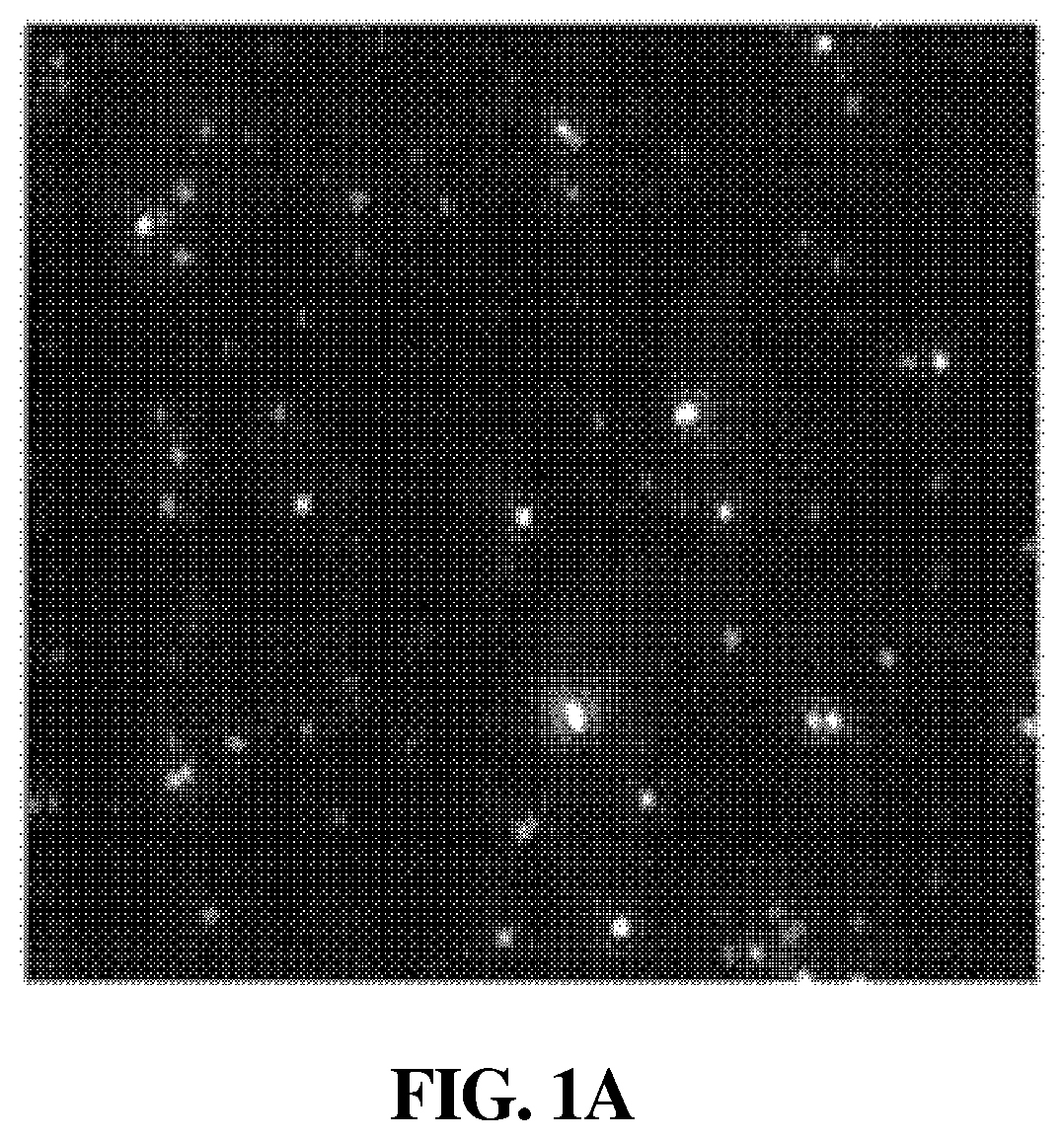 Composition comprising induced exosome for hair regeneration