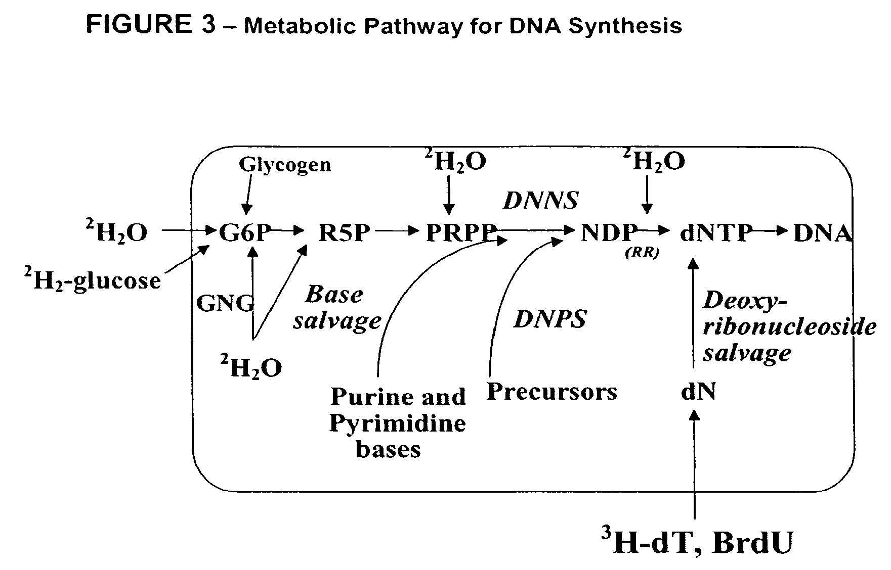 Method for high-throughput screening of compounds and combinations of compounds for discovery and quantification of actions, particularly unanticipated therapeutic or toxic actions, in biological systems