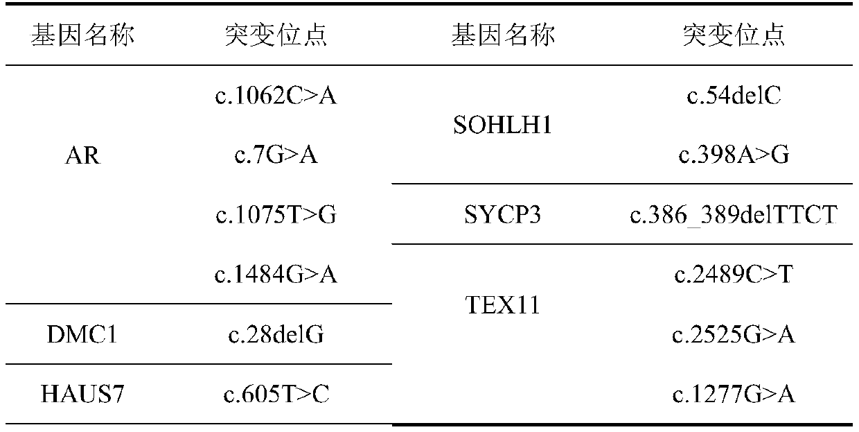 Kit for detecting idiopathic azoospermia and gene panel