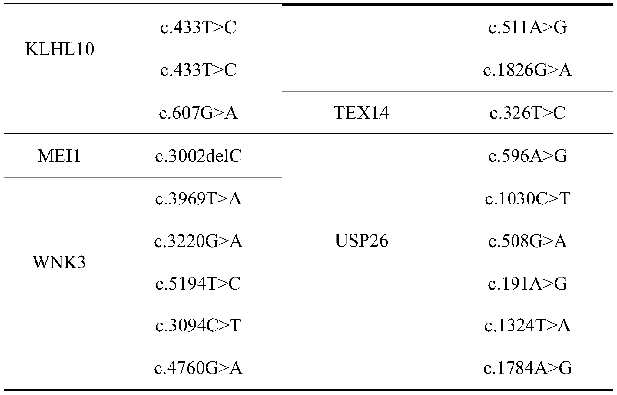 Kit for detecting idiopathic azoospermia and gene panel