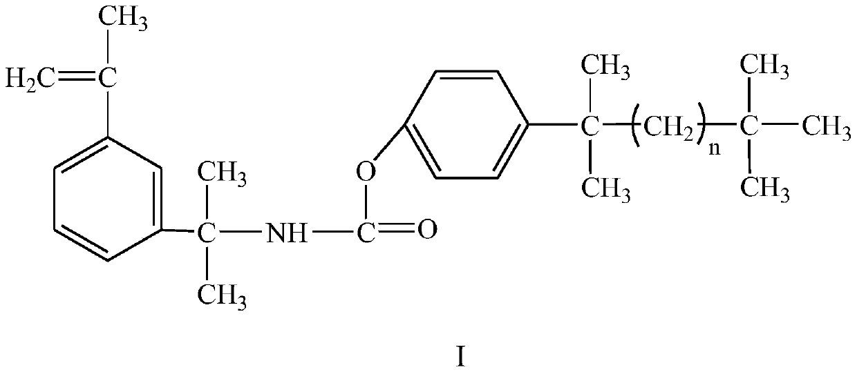 A biphenyl hydrophobic monomer and leakage plugging gel based on the monomer