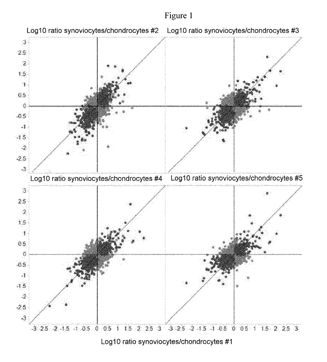 Marker and Method for Determining the Composition or Purity of a Cell Culture and for Determining In Vitro the Identity of a Cartilage Cell or Synovial Cell