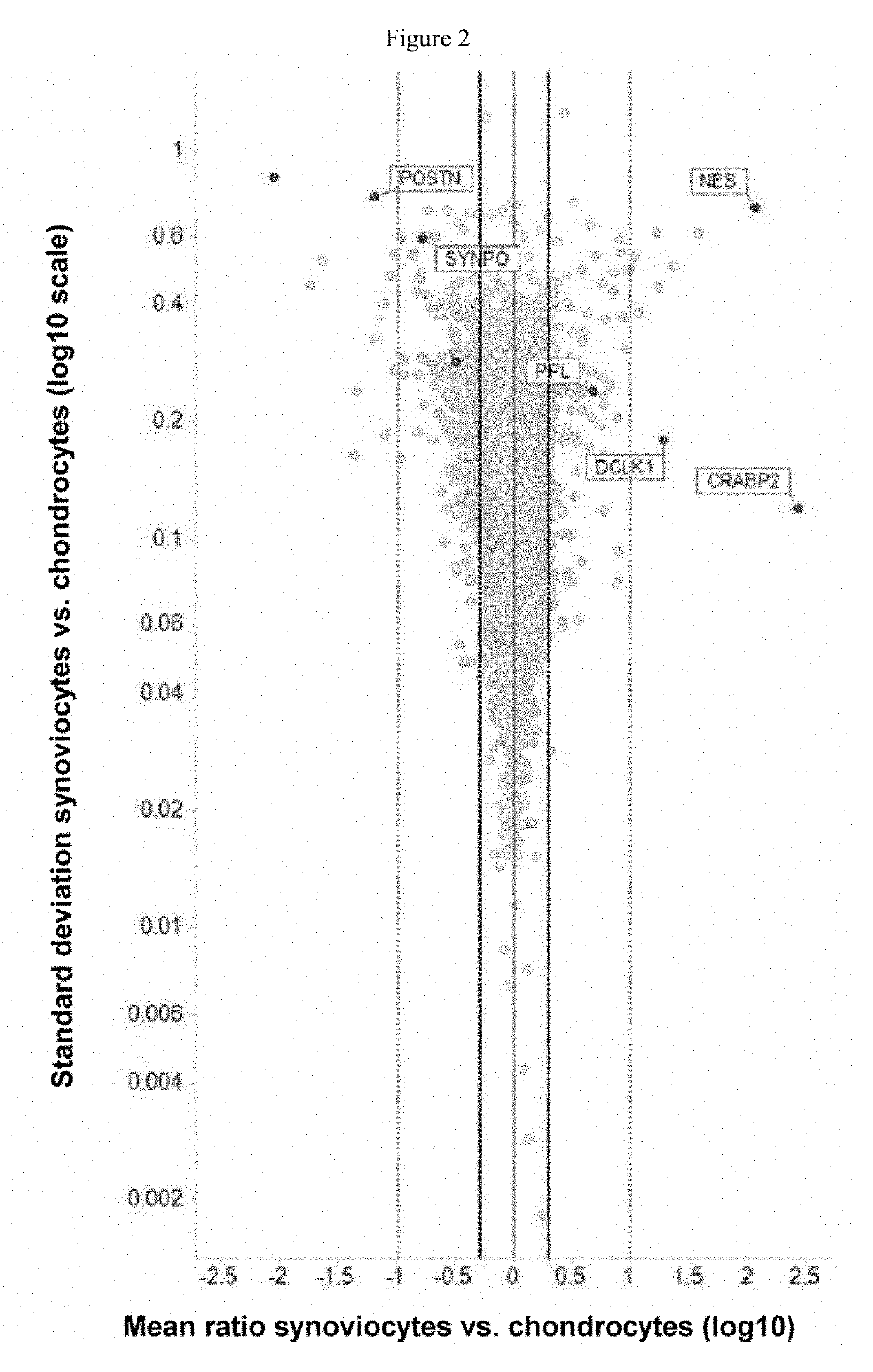 Marker and Method for Determining the Composition or Purity of a Cell Culture and for Determining In Vitro the Identity of a Cartilage Cell or Synovial Cell