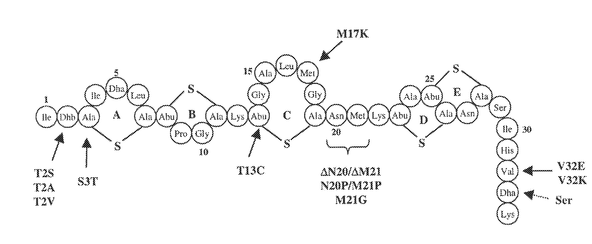 Antimicrobial constructs