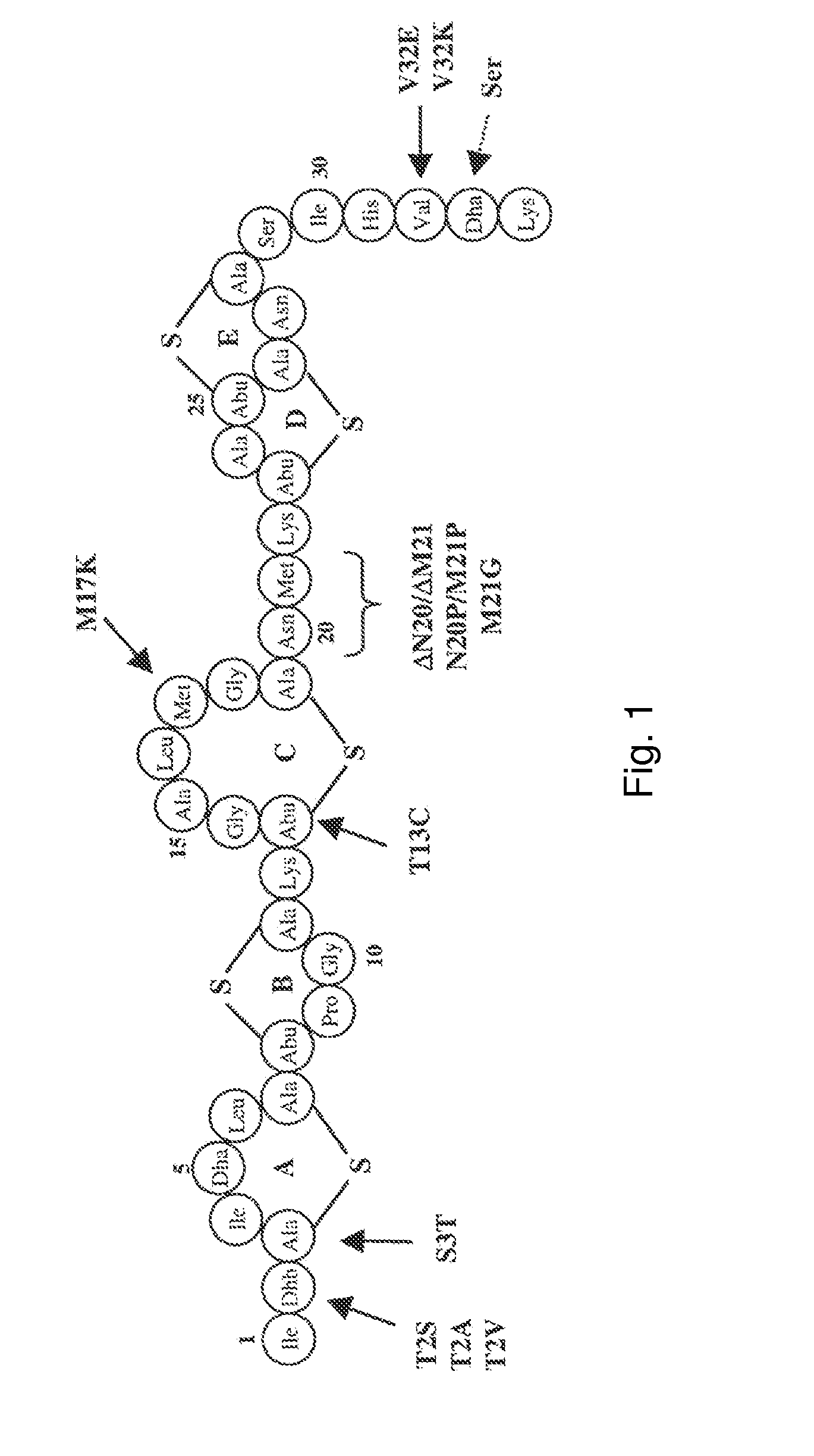 Antimicrobial constructs