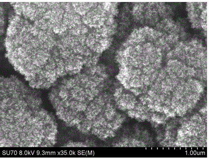 Device and method for preparing electrode of vertical graphene double electric layer capacitor at constant voltage