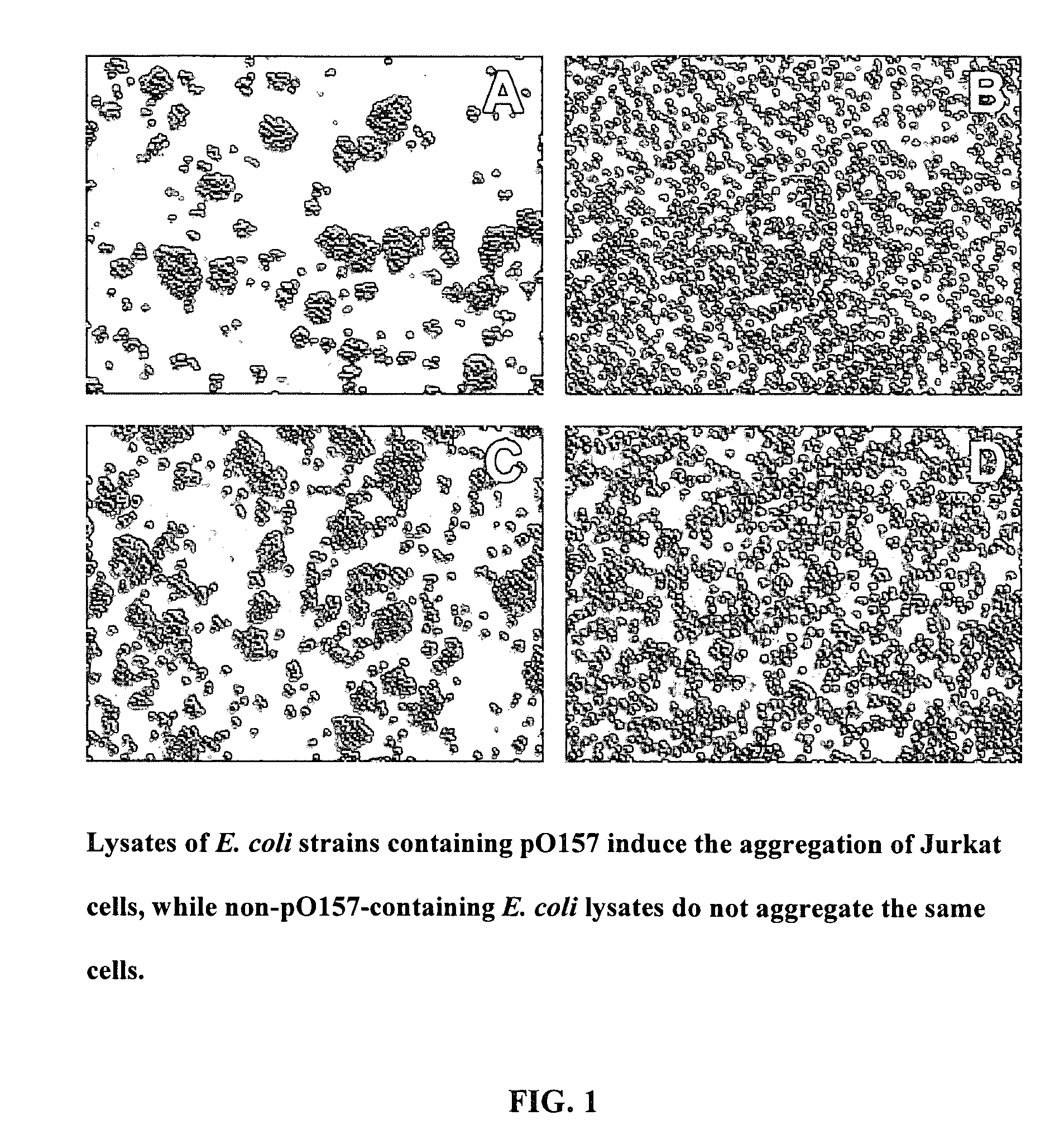 Method of reducing complement - mediated disruption of cells