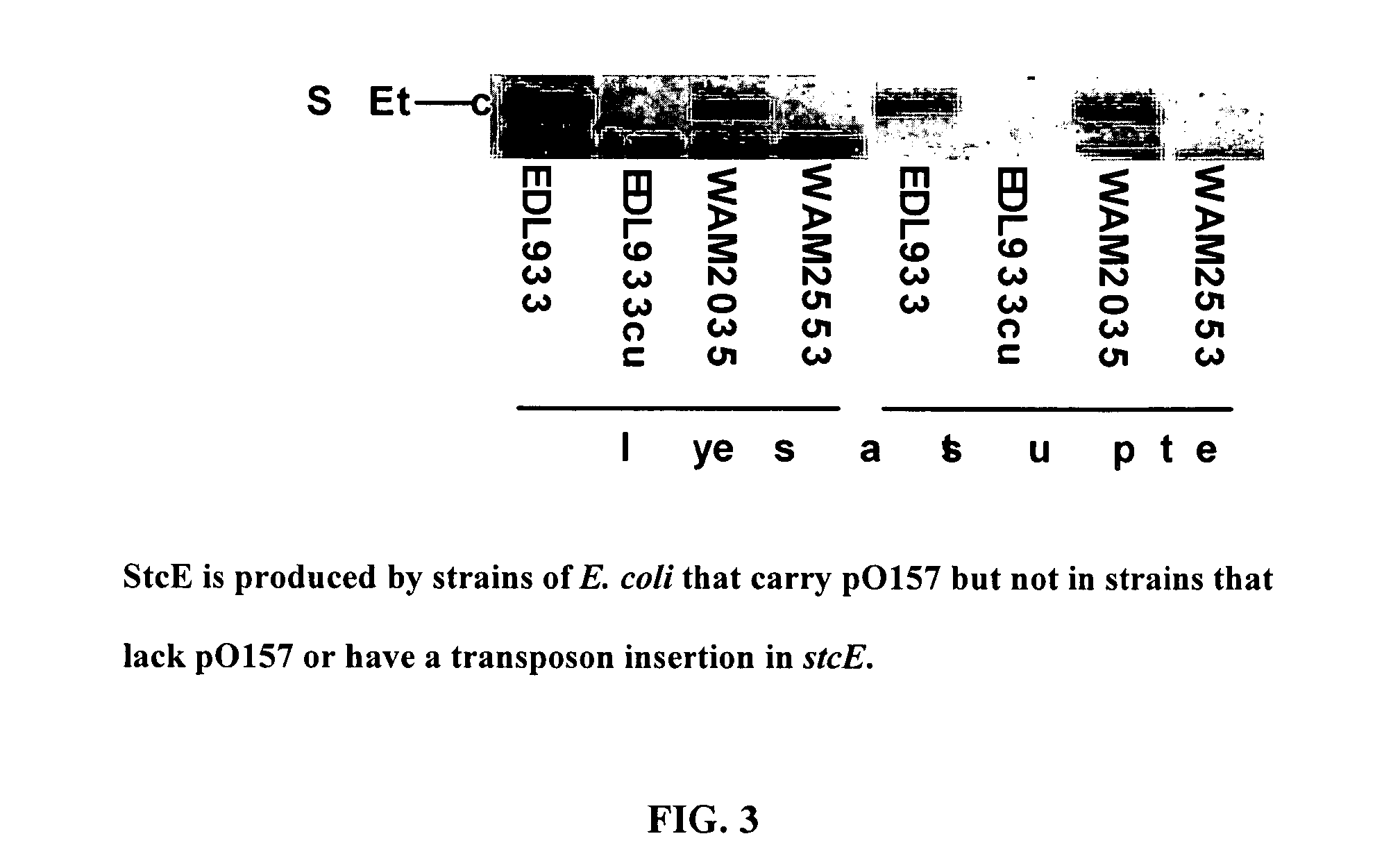 Method of reducing complement - mediated disruption of cells