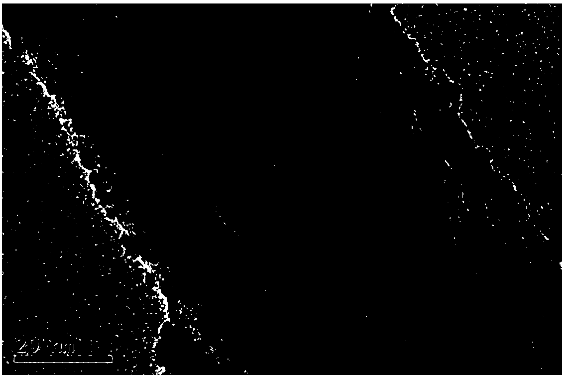 Preparation method and application of nitrogen-doped carbon nanotube-ruthenium dioxide composite material