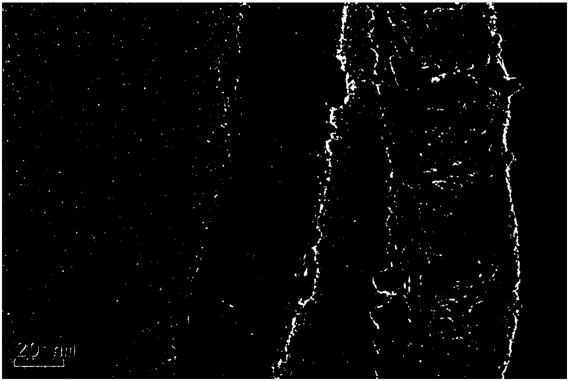 Preparation method and application of nitrogen-doped carbon nanotube-ruthenium dioxide composite material