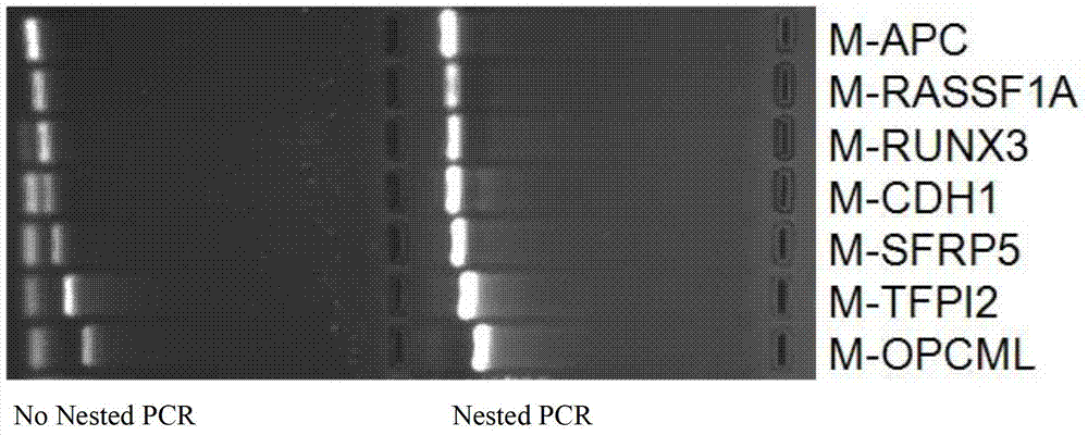 Multiplex nested methylation specific PCR (Polymerase Chain Reaction) detection kit, using method and application thereof