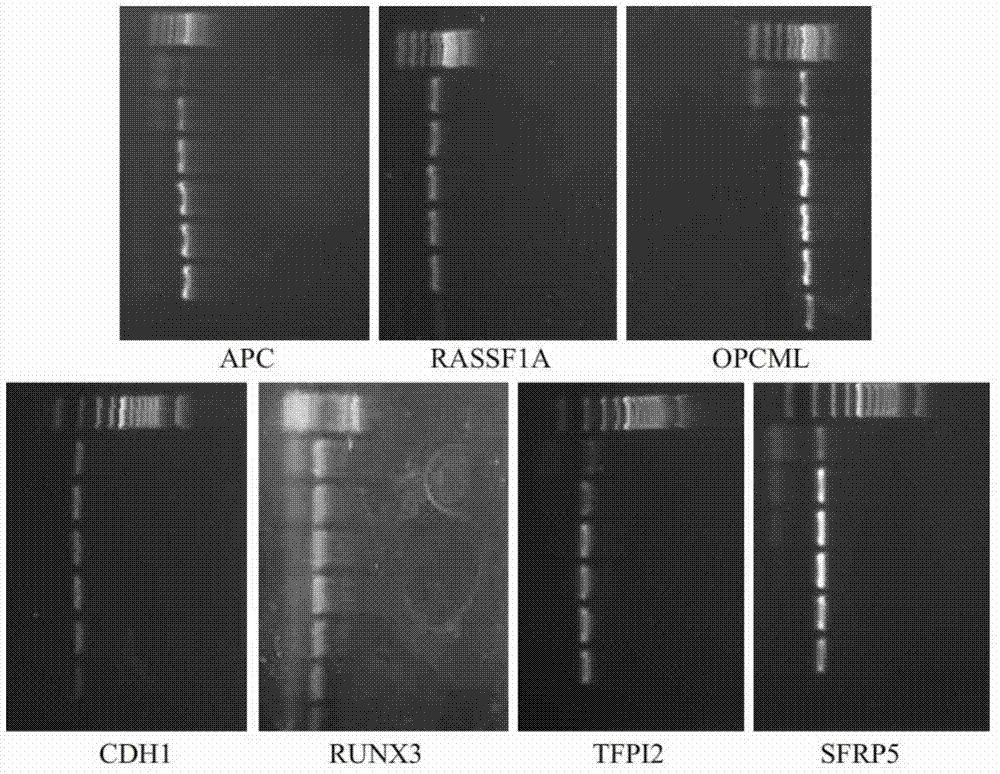 Multiplex nested methylation specific PCR (Polymerase Chain Reaction) detection kit, using method and application thereof