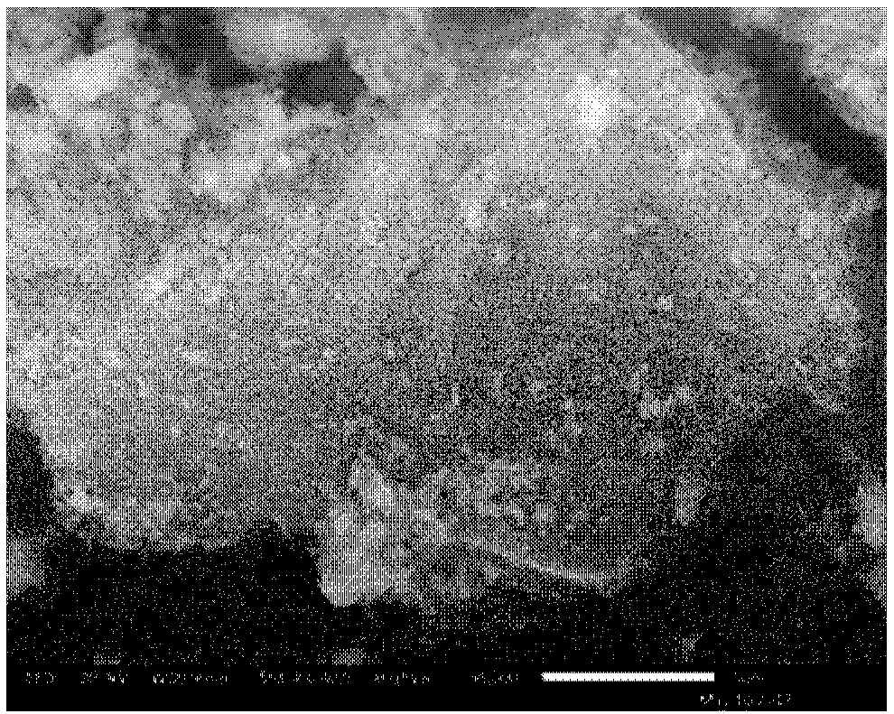 Method for preparing foam-shaped silicon powder by using silicon magnesium particles coated with tin indium alloy and silicon powder