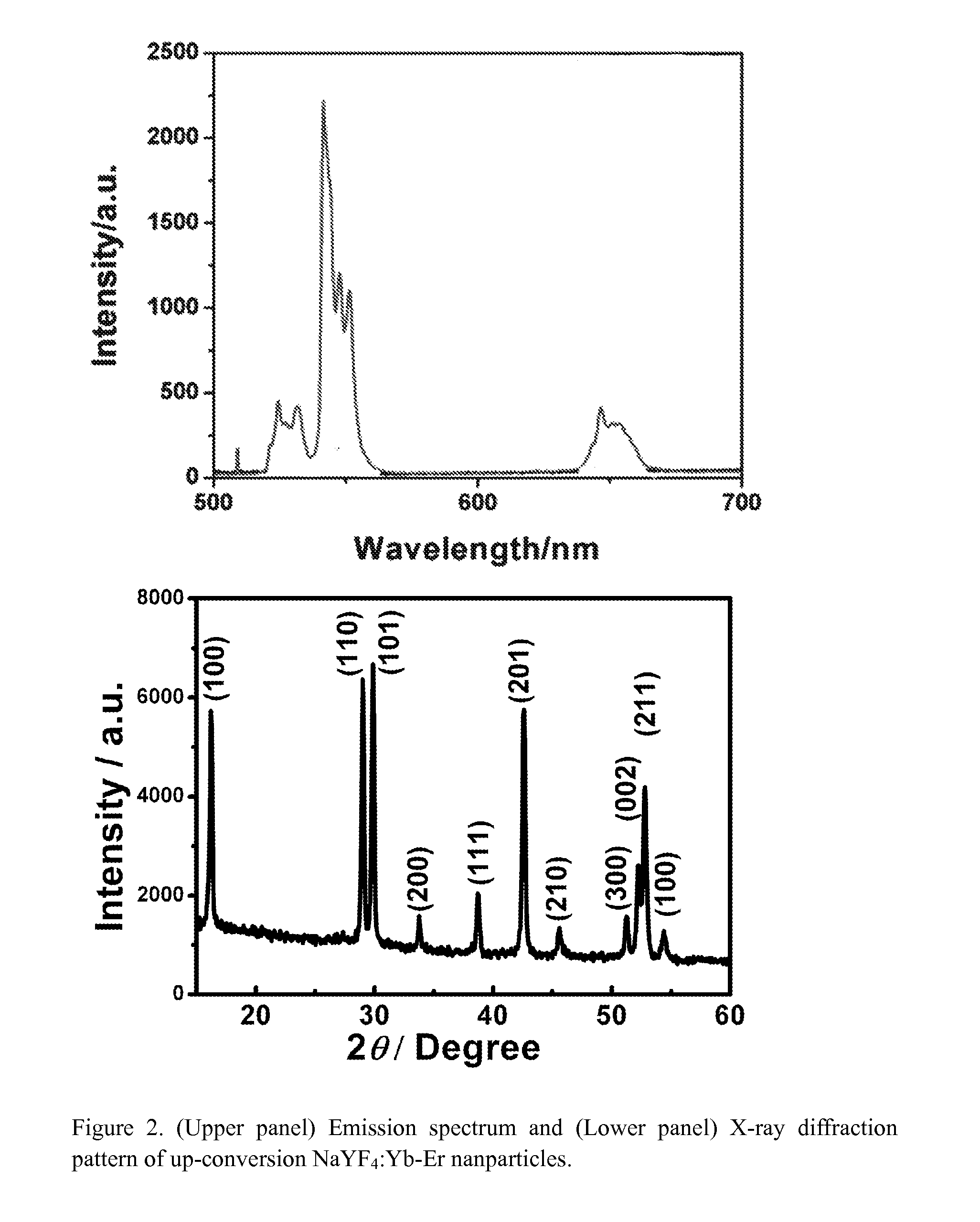 Rare Earth-Doped Up-Conversion Nanoparticles for Therapeutic and Diagnostic Applications